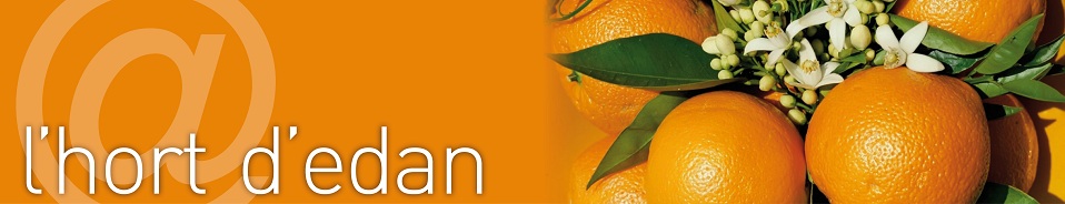 Elige mi naranja