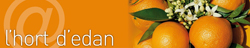 Elige mi naranja